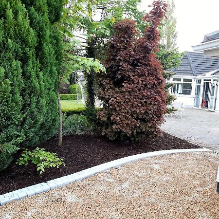 Killenard Self Catering Accommodation Esterno foto