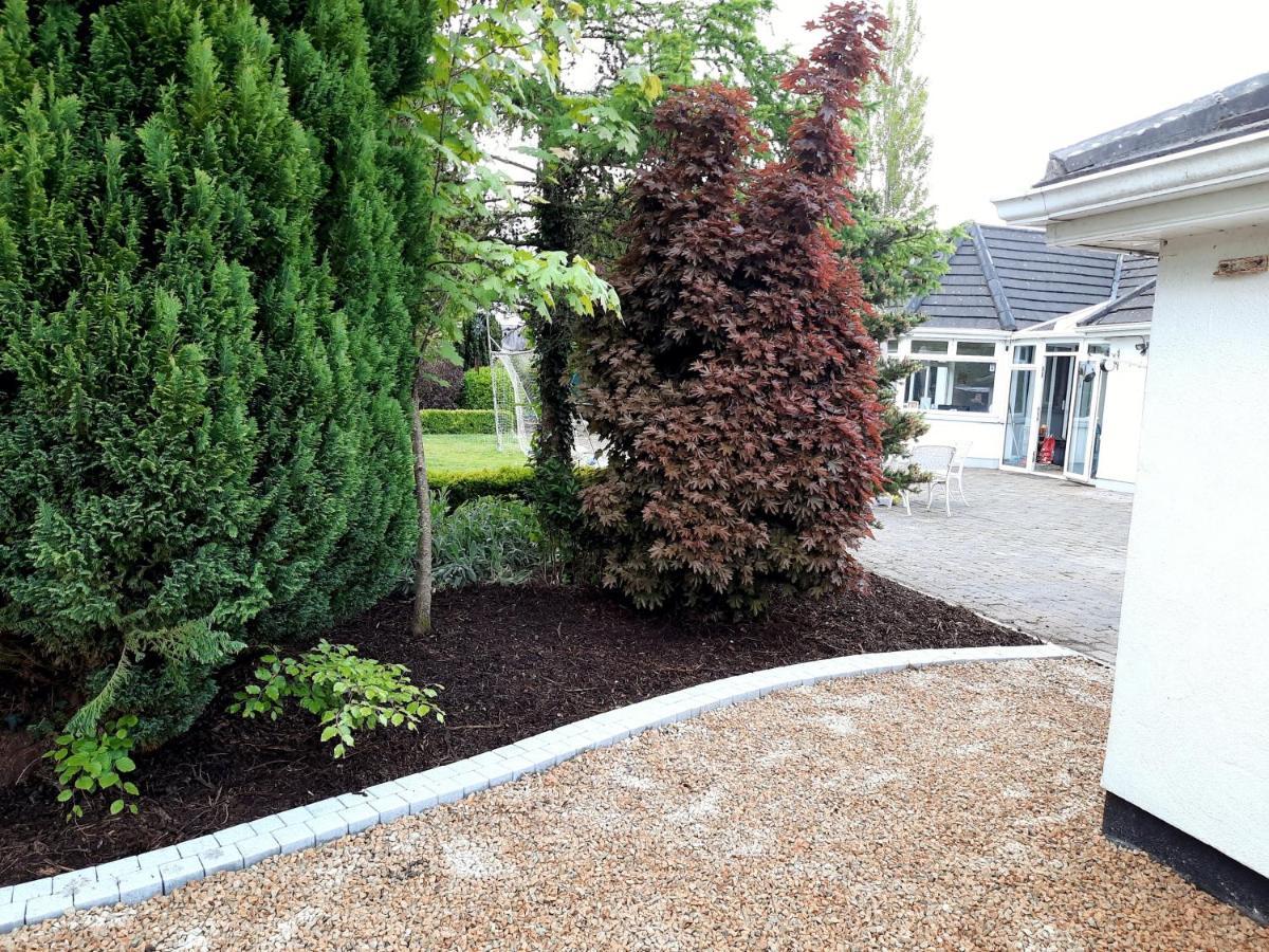 Killenard Self Catering Accommodation Esterno foto
