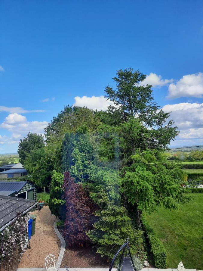 Killenard Self Catering Accommodation Esterno foto